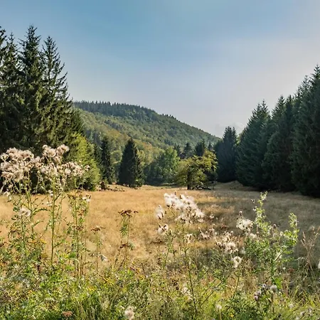 Waldpark Kraetzersrasen Fh2 Bad Liebenstein